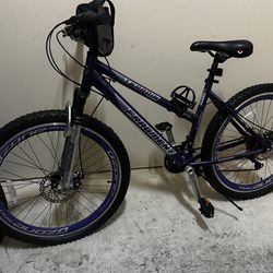 Purple Terrian Bike