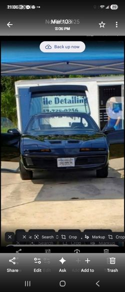 1984 Pontiac Firebird