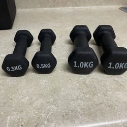 Small Dumbbells 