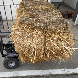 Hay Bundle  I Have 8 Bundle 