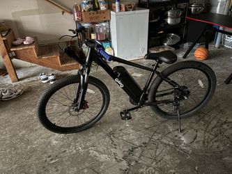 Qlife racer
