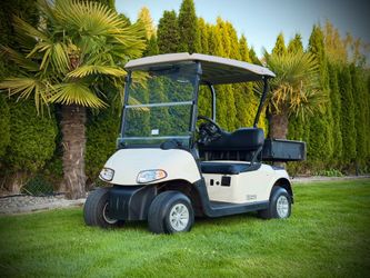 2010 ⚡️ EZGO RXV Electric  Golf Cart ⛳️