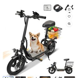 Electric Scooter With Seat
