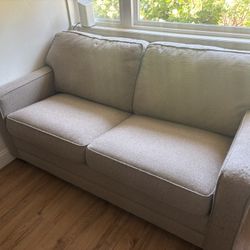 FREE Couch w/Hideaway Bed 