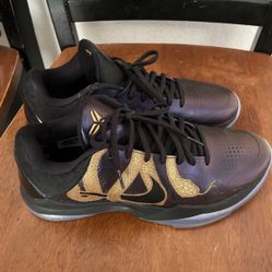Kobe 5 Year Of The Mamba 