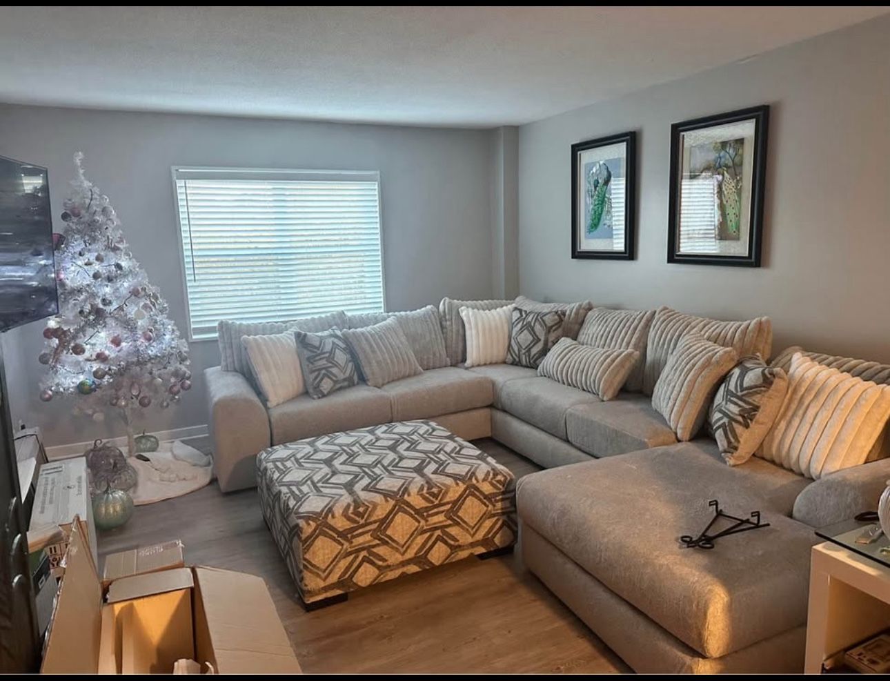 Plush Sectional