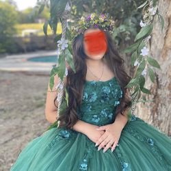 Quinceañera  / Sweet 16 Dress Gown
