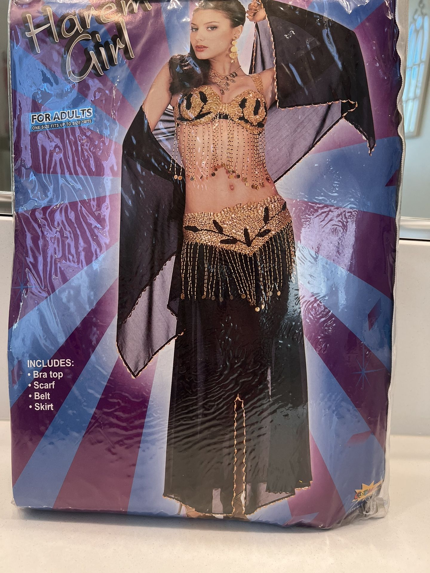 New “Harem Girl” Women’s Costume By Costumania, Includes Bra Top, Scarf, Belt & Skirt. Size 14/16