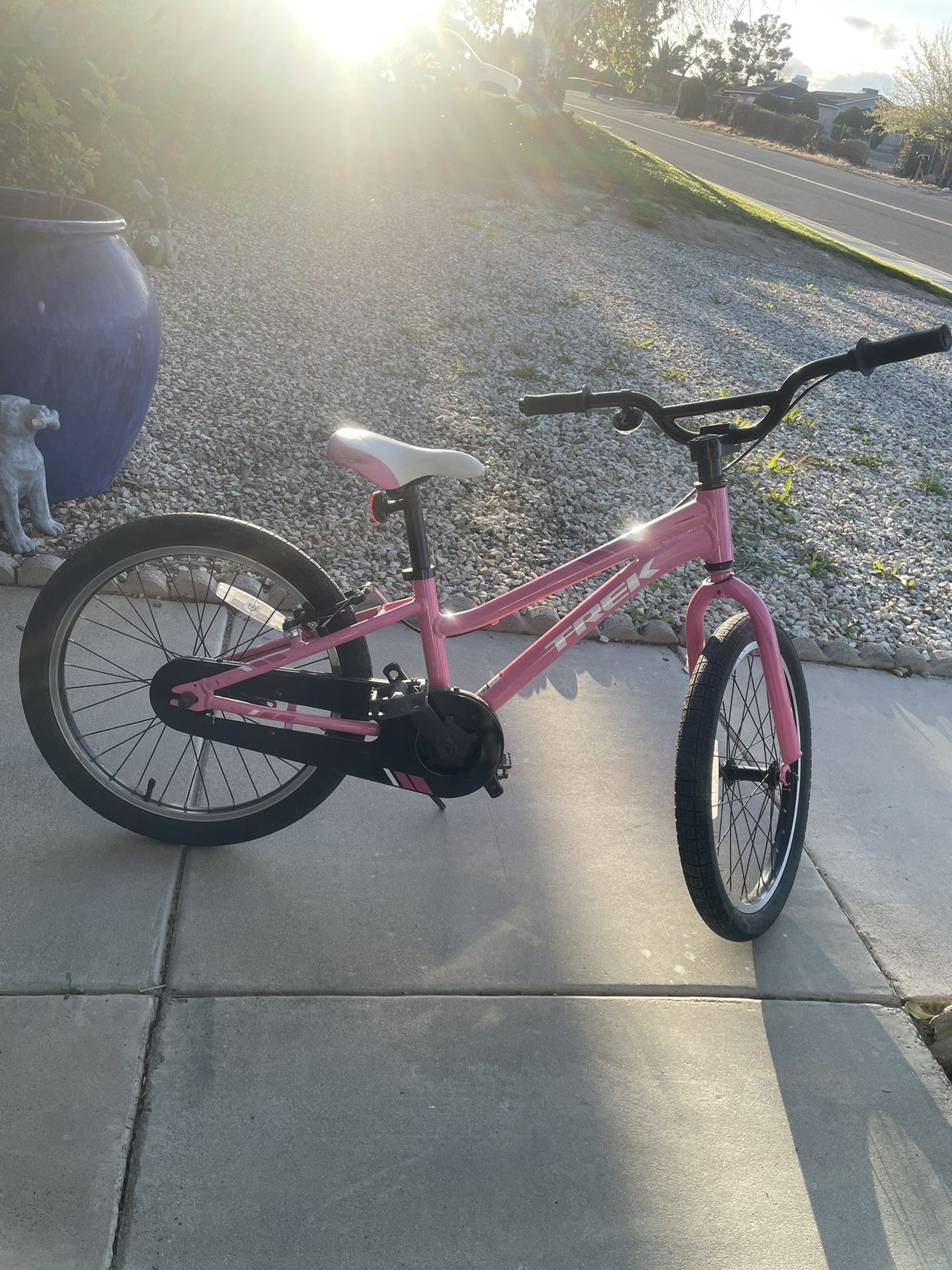 Trek Bike 20