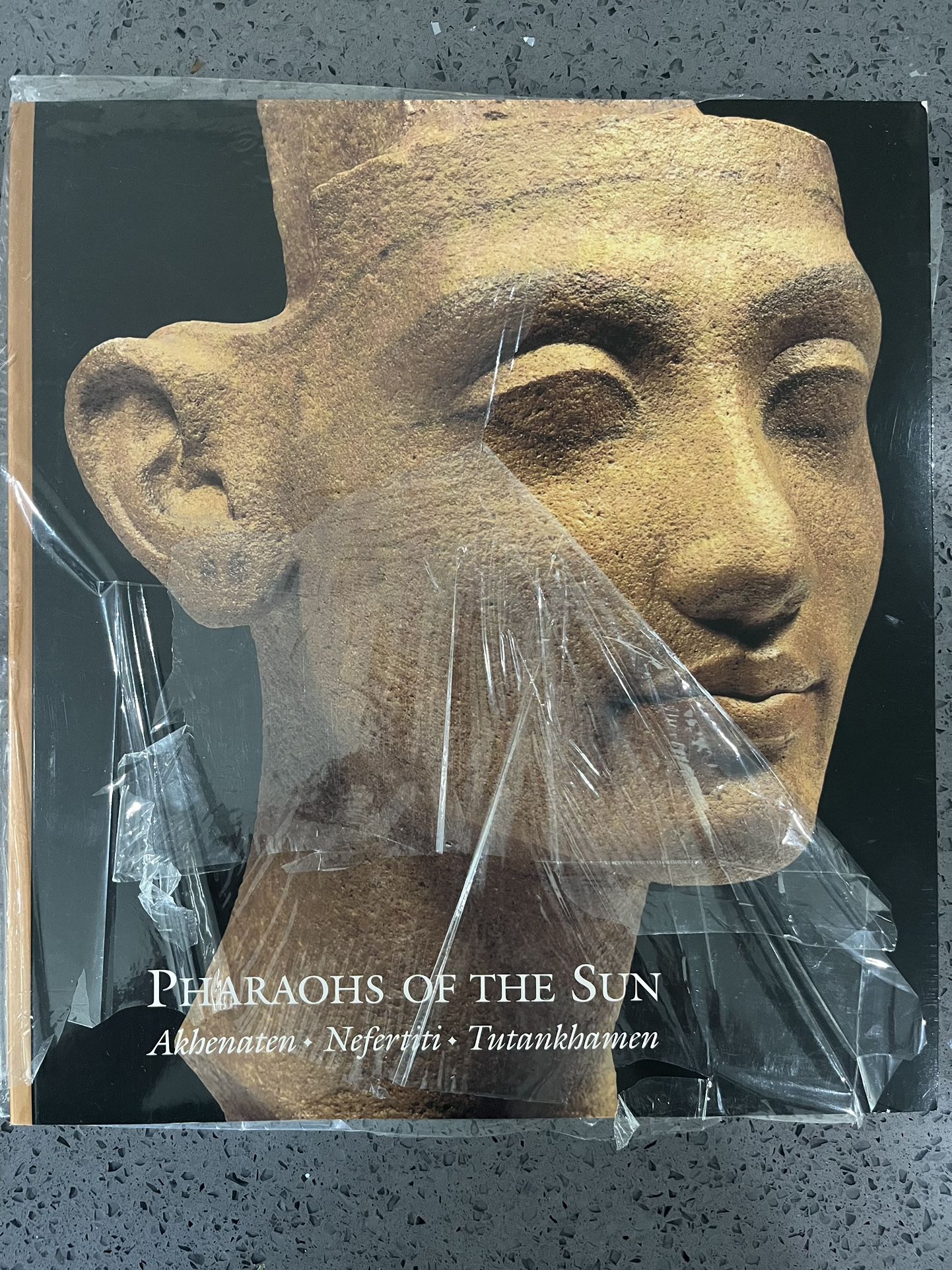 Pharaohs Of The Sun Book