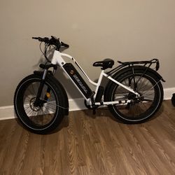 Electric Bike 