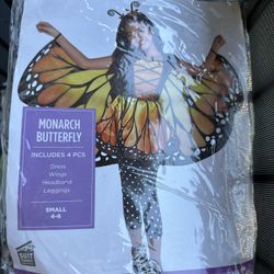 Butterfly Costume