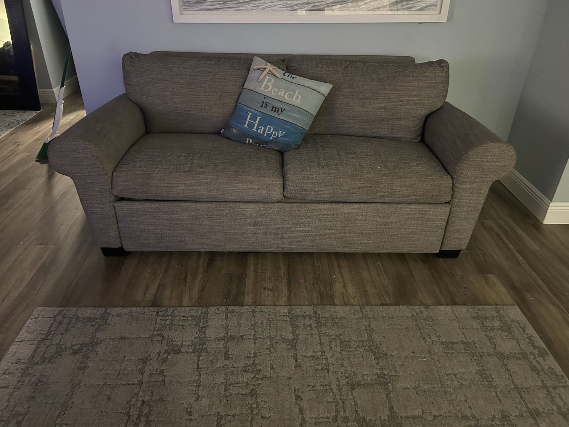 Name Brand Loveseat Sofa Bed