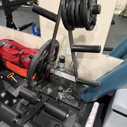 Olympic Weight Tree $55