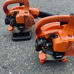 Echo Commercial Gas Blower 