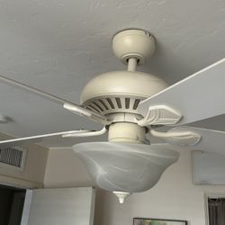 Fan
