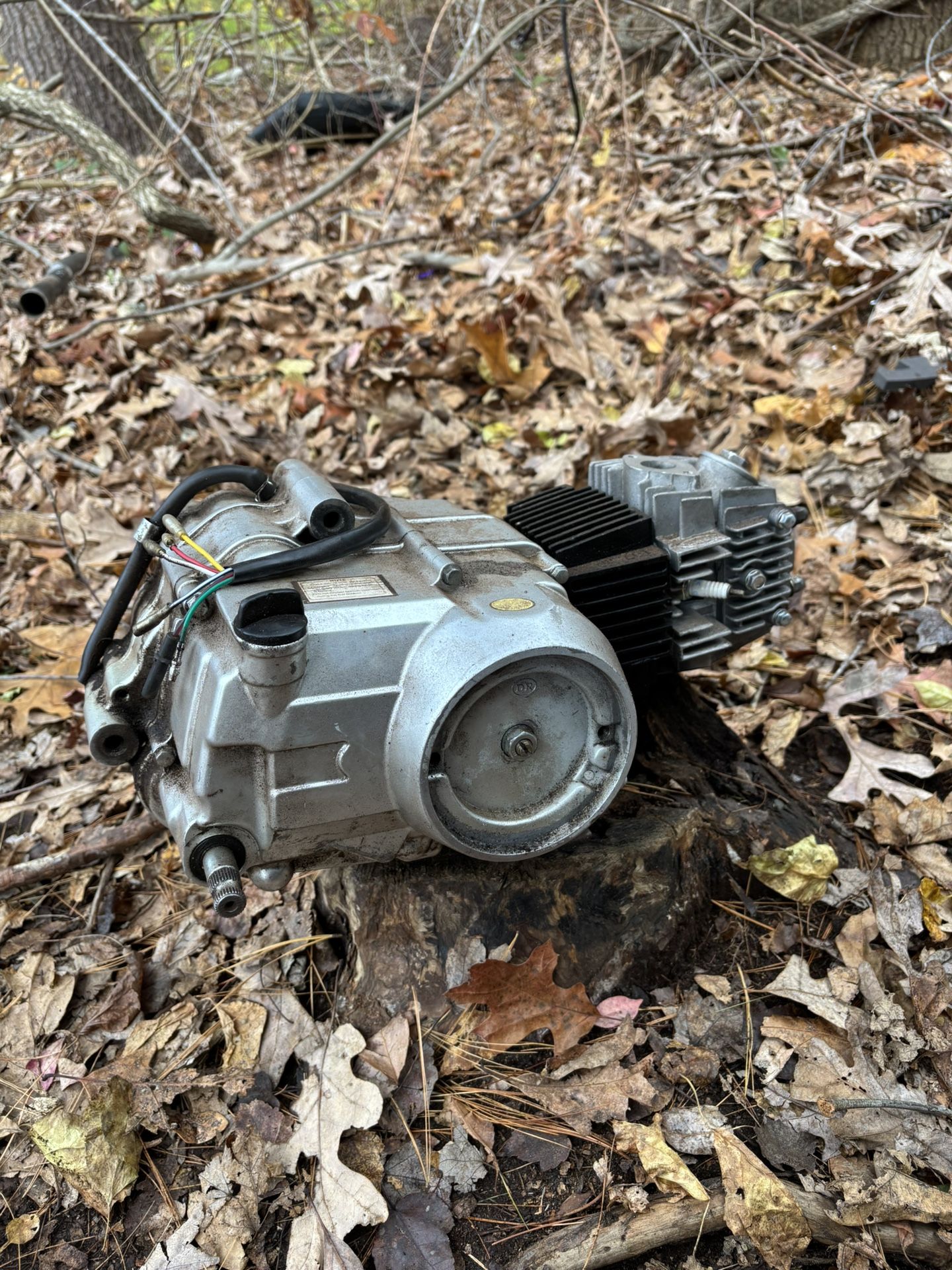 110cc Semi-Auto Engine Kickstart