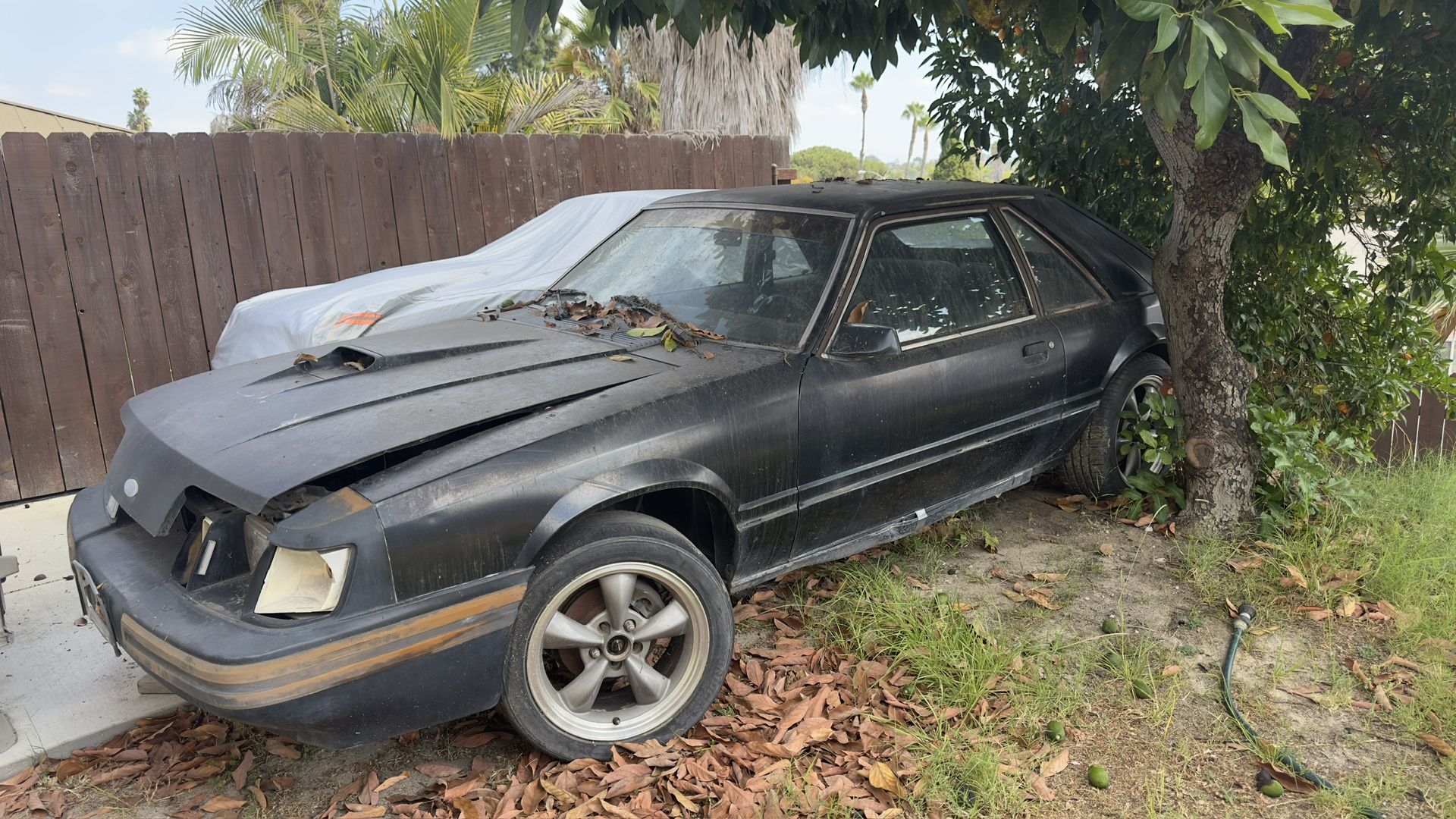 1984 Ford Mustang