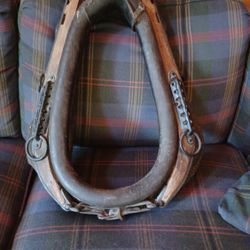 Horse Collar