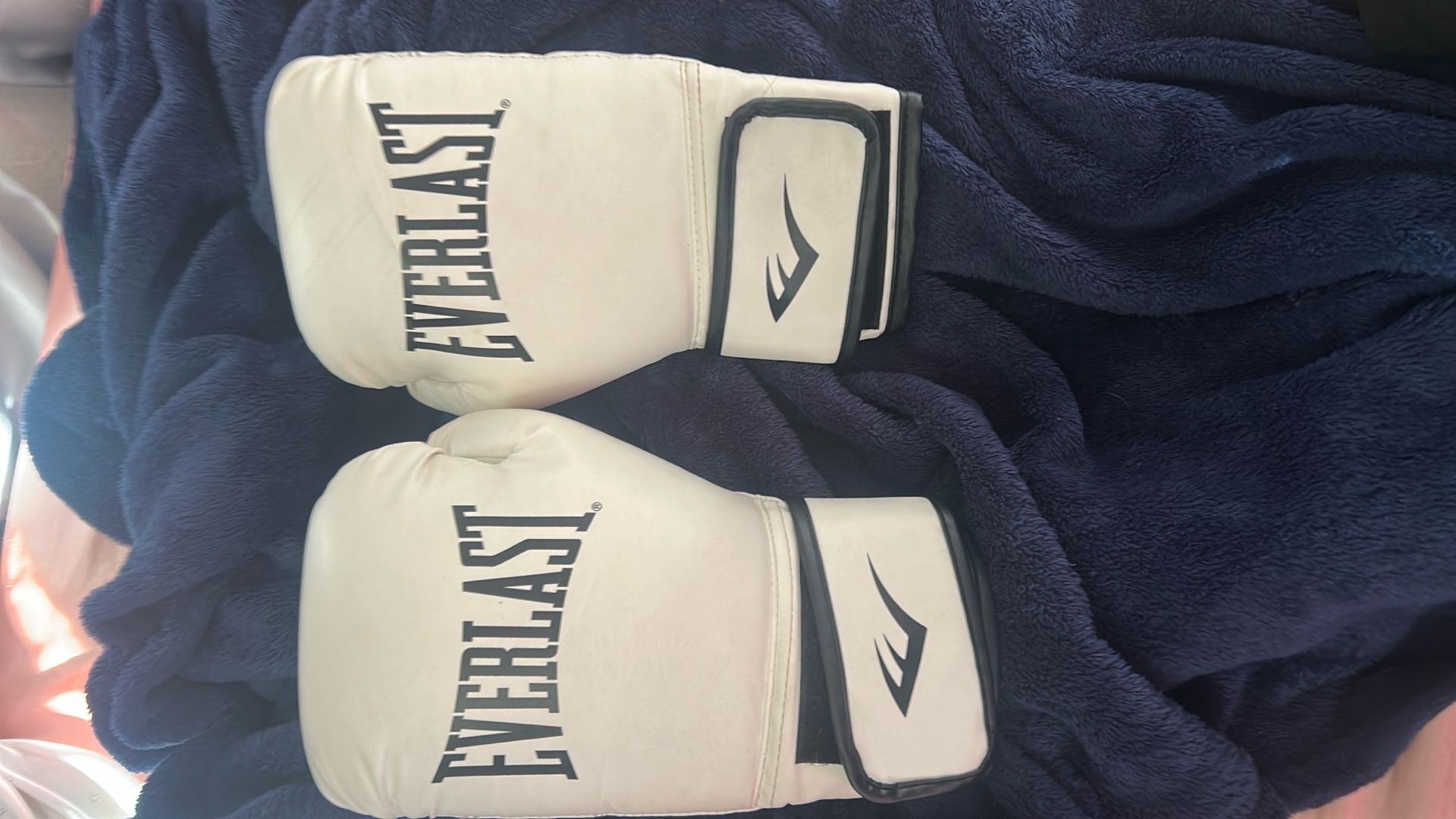 boxing gloves white and black from everlast