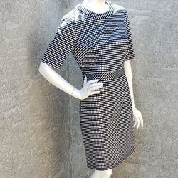 New Banana Republic Dress Size 10