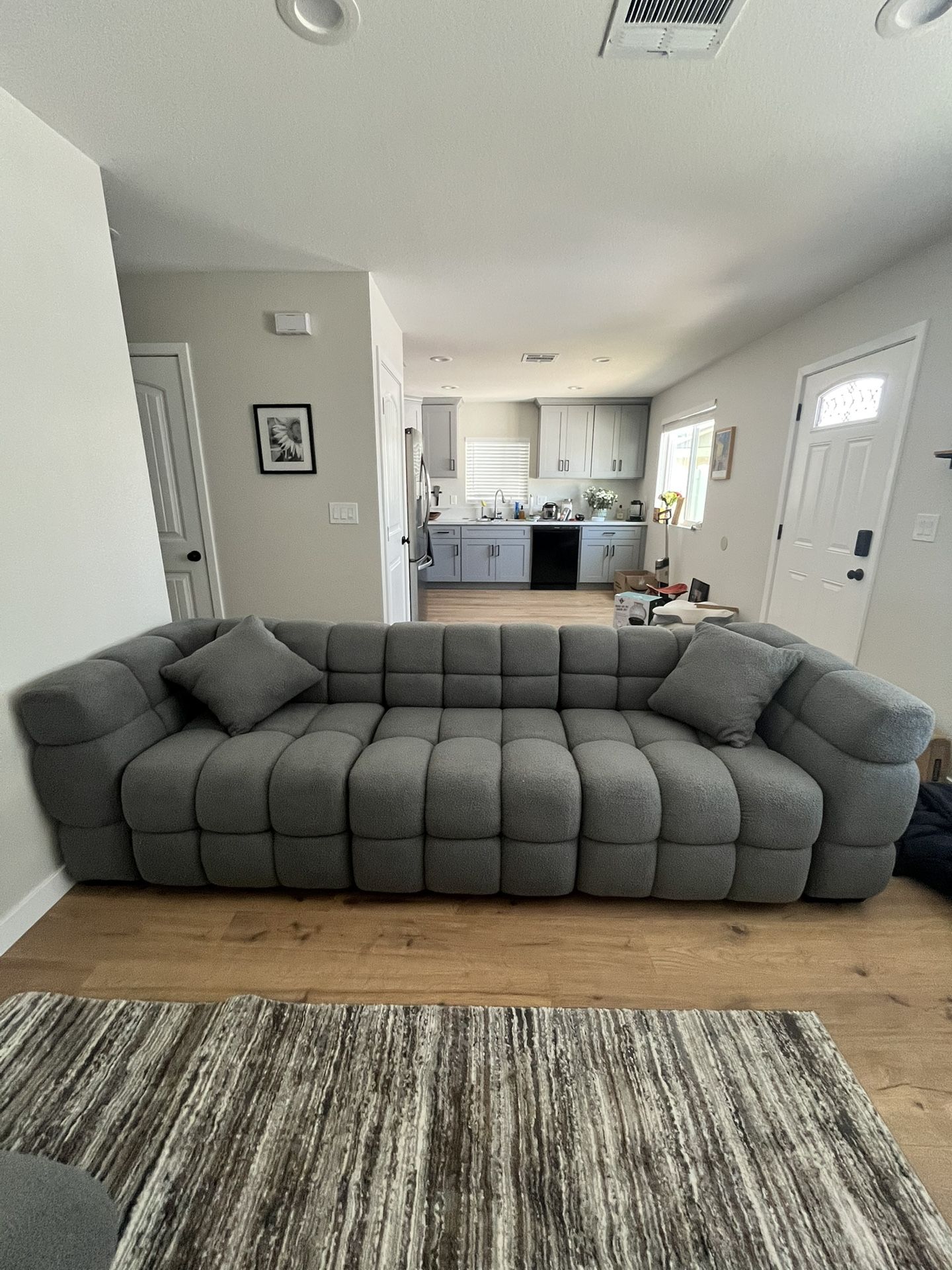Brand New Couch