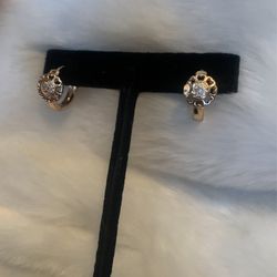Elegant Earrings