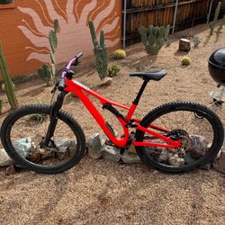 2019 Carbon Specialized StumpJumper