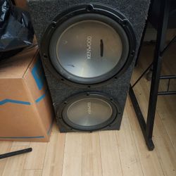 12 Inch Subwoofer 