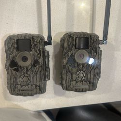 Camera Steal Bluetooth 