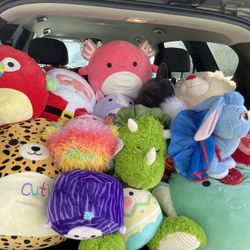 Squishmallow Sale!