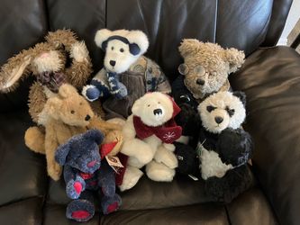 Boyd bears