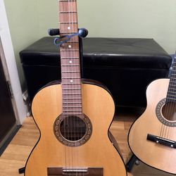Guitars for Sale