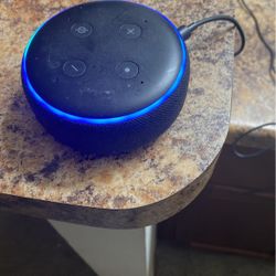 Amazon Alex