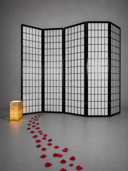 85”width privacy room divider