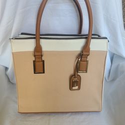 Aldo colorblock tote