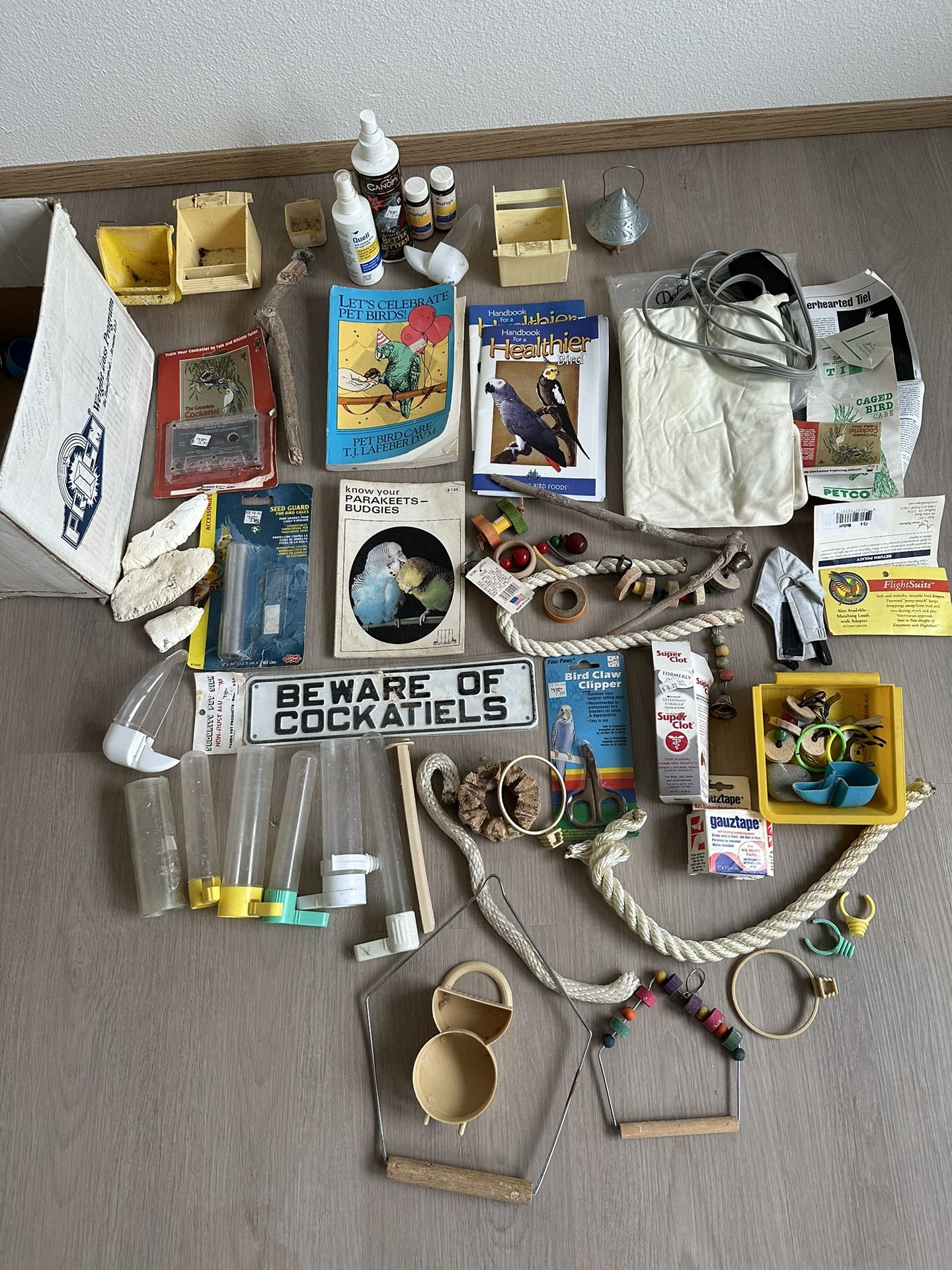 Bird Food And Things