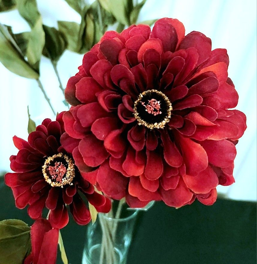 Deep Red / Wine / Ruby Colored Flowers