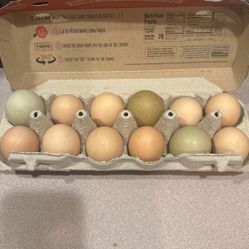 Farm Fresh Eggs