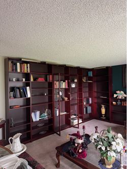 Office shelves