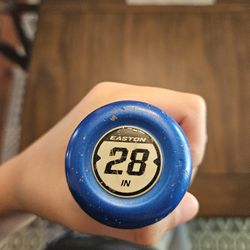 Easton Baseball Bat