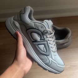 Grey Dior B30s
