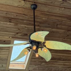 Ceiling Fan