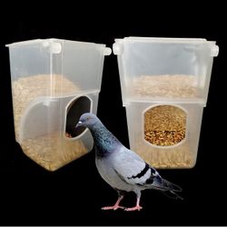 Bird And Pigeon Feeder Only $6.00