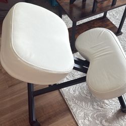 Ergonomic Desk Chair 