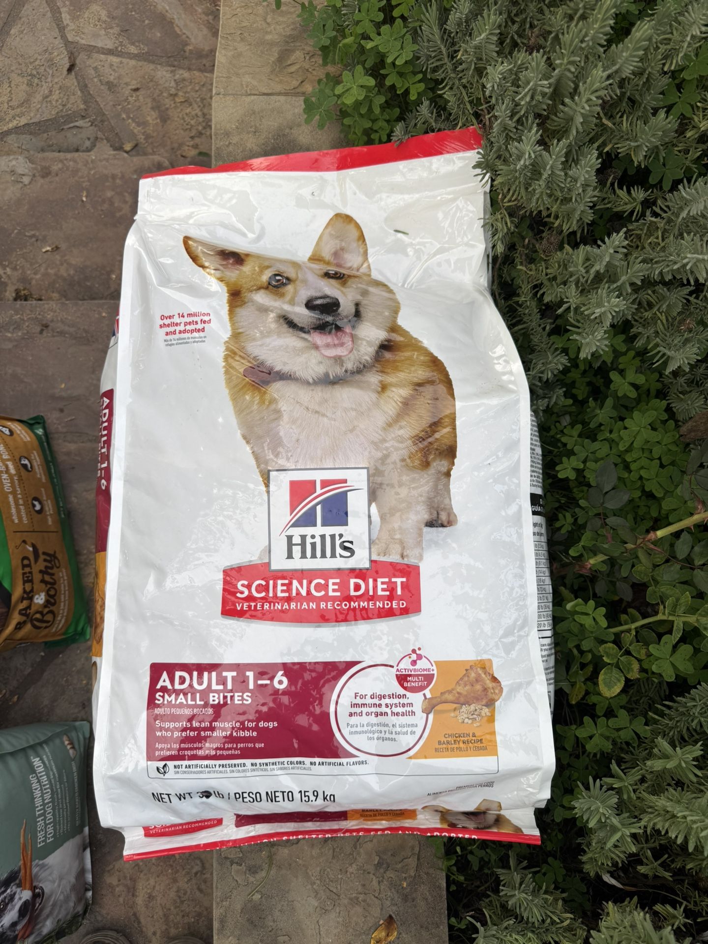Hills Dog Food