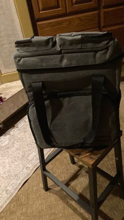 Carrying case compatible with baby brezza