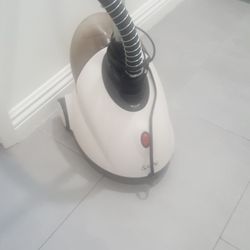 Salav Garment Steamer