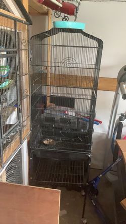Bird cage