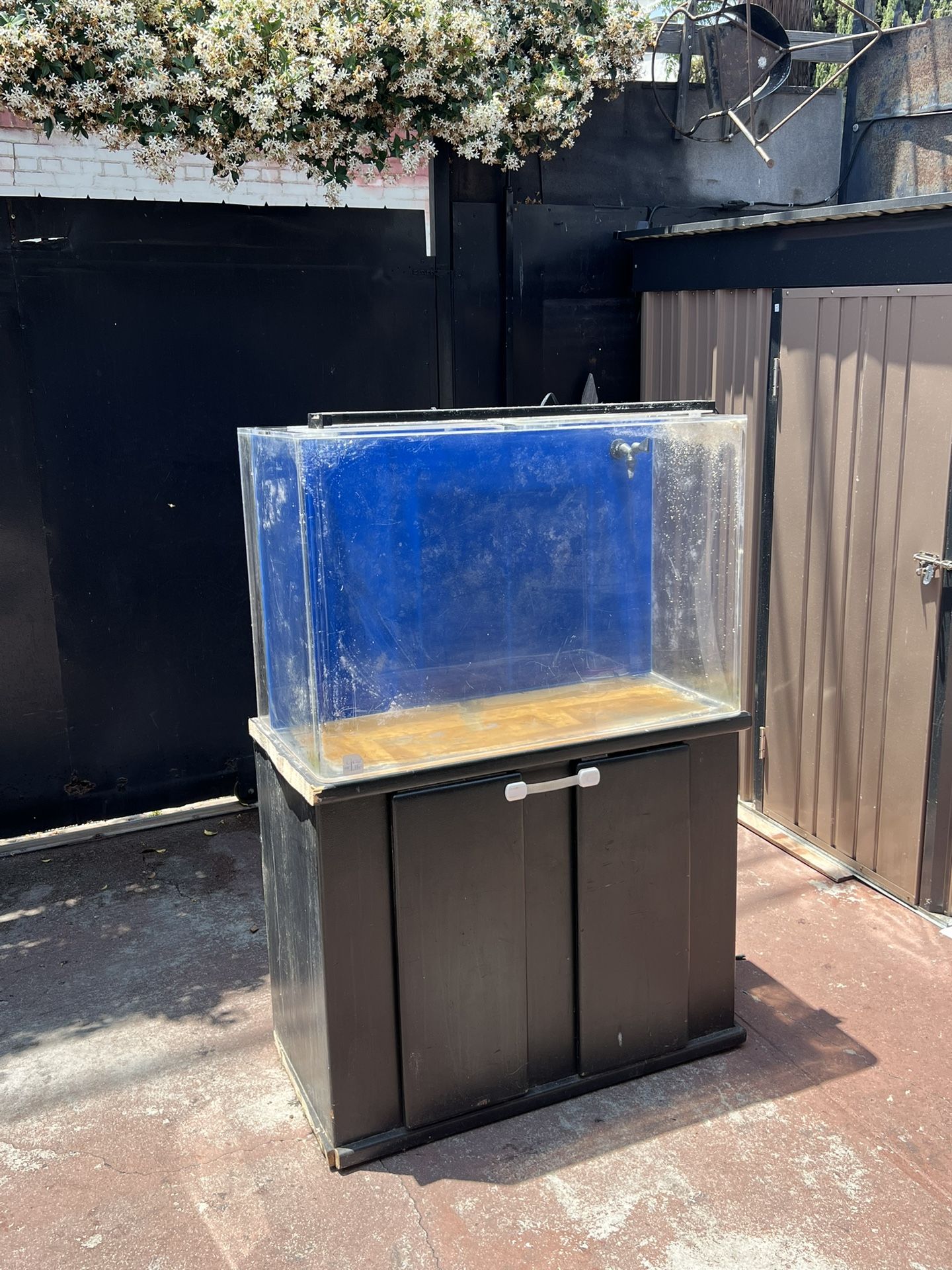 Fish Tank For Sell